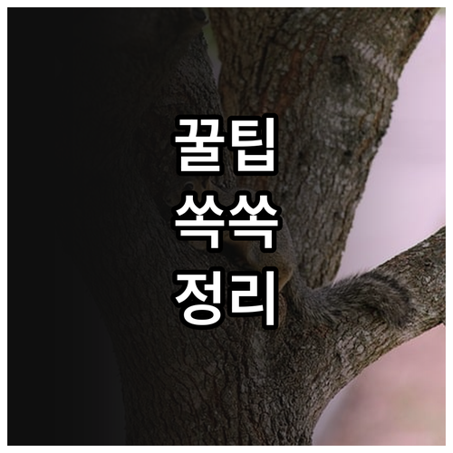 2025년 안양시 기형아 검사비 지원..