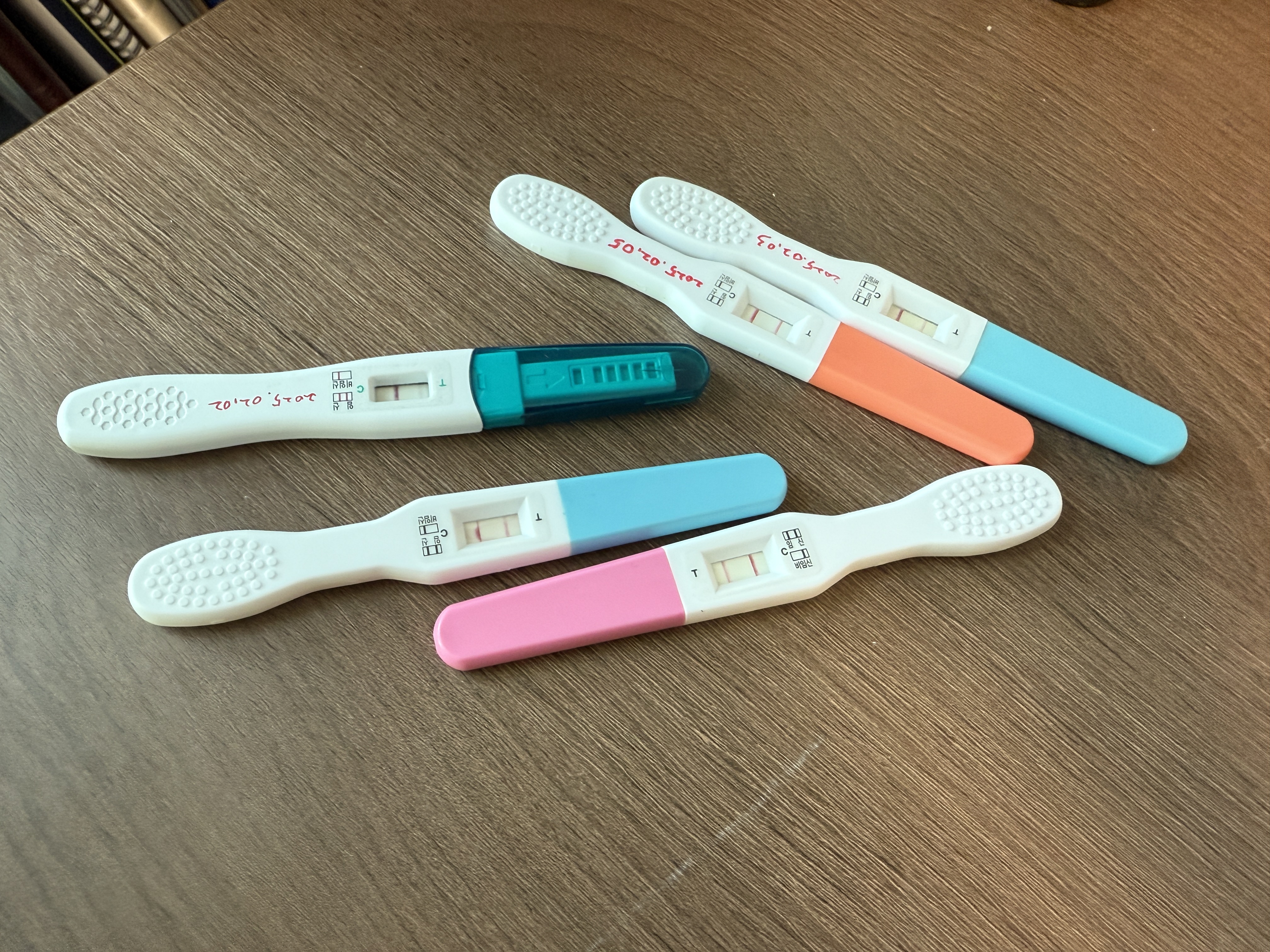 여러개의 임신테스트기