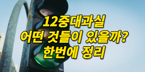 12중과실-12중대과실