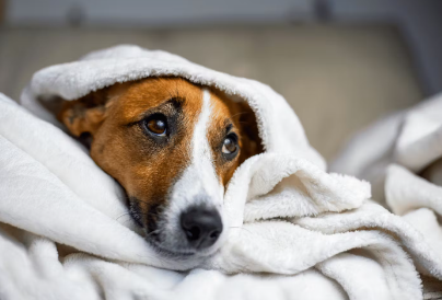 어쩌면 아플지도