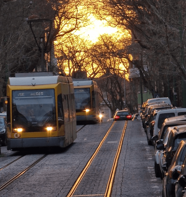 재생에너지와 전기차의 결합이 만드는 국가 단위 ‘가상 발전소(VPP)’ 경쟁
