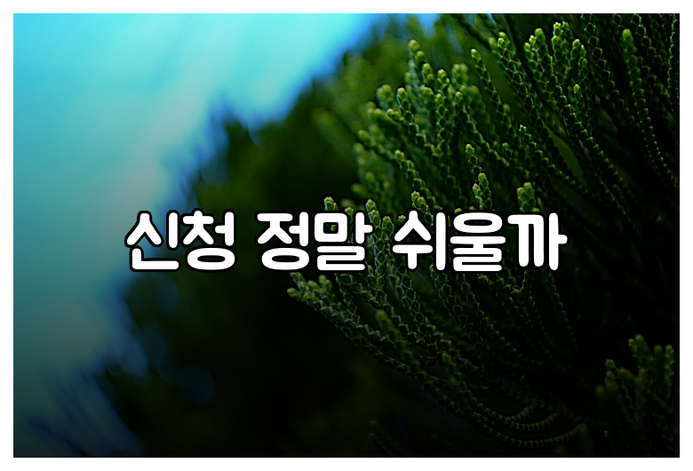 신청 정말 쉬울까