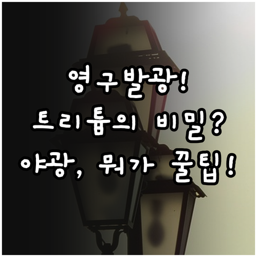 반영구적 축광 야광과 12년 반감기 ..