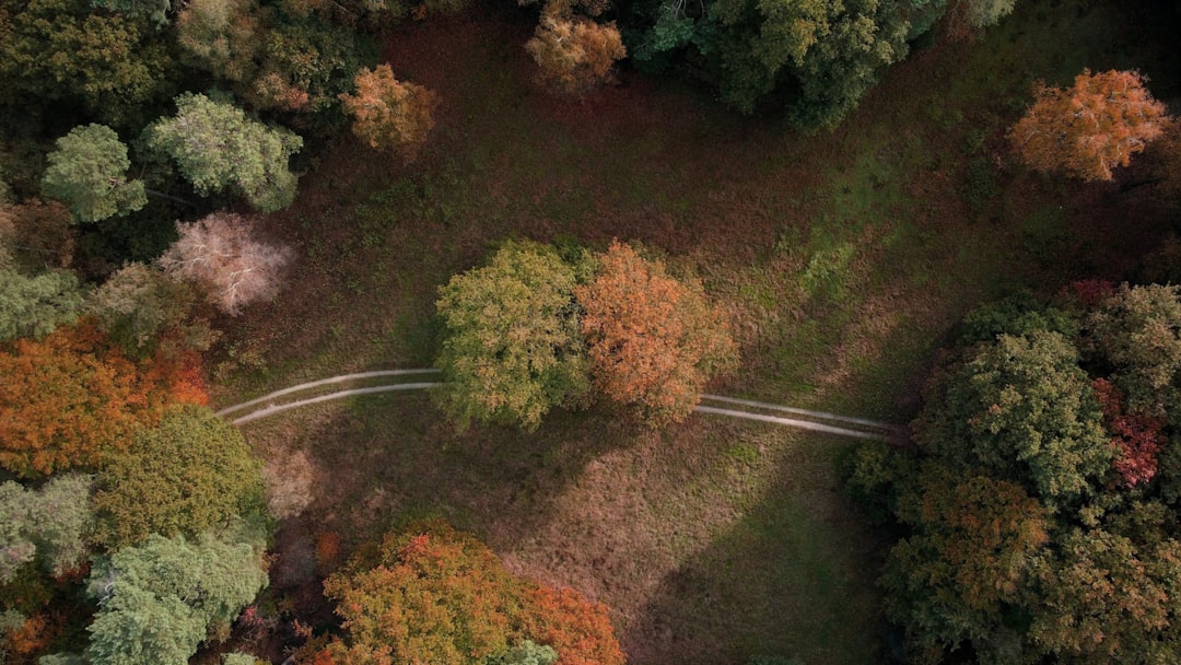 Shortcut