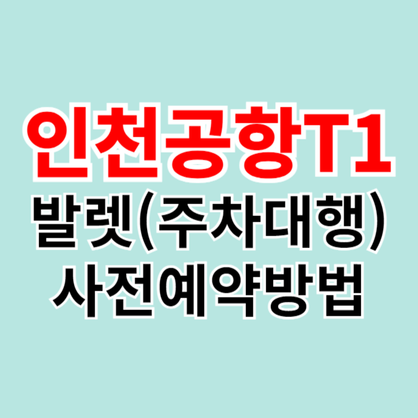 인천공항 제1여객터미널 발렛