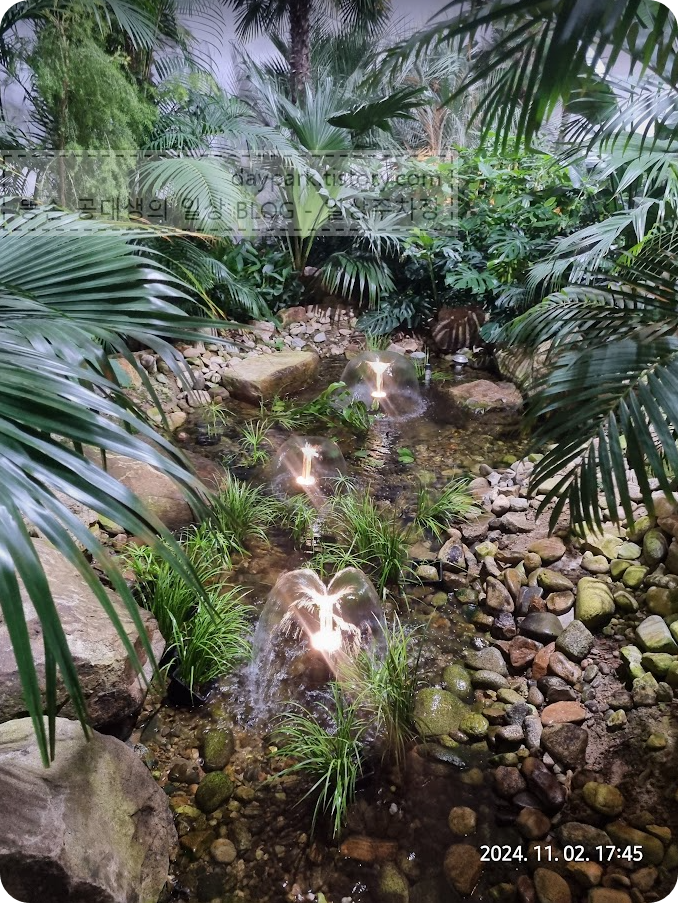 용인자작나무숲 온실화원