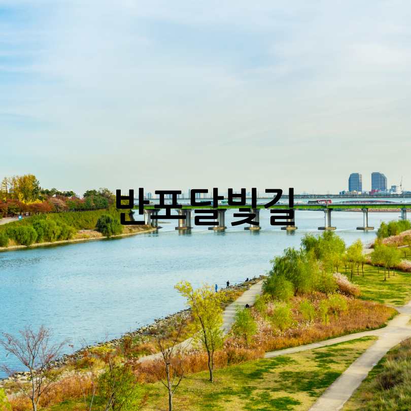 한강야경투어_봄