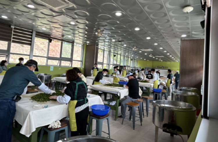 보성 다향대축제