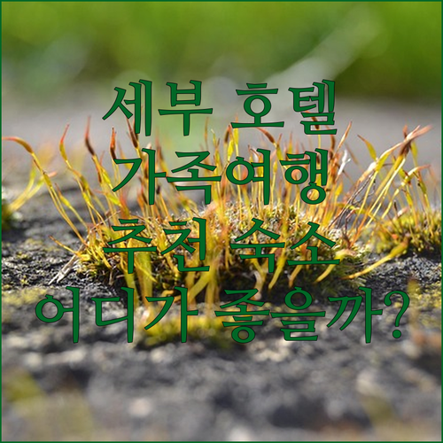세부 호텔 추천 가족 여행에 적합한 ..