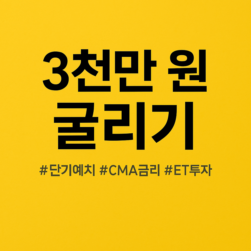 3천만원 투자