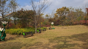 화성_우리꽃식물원_국화전시회