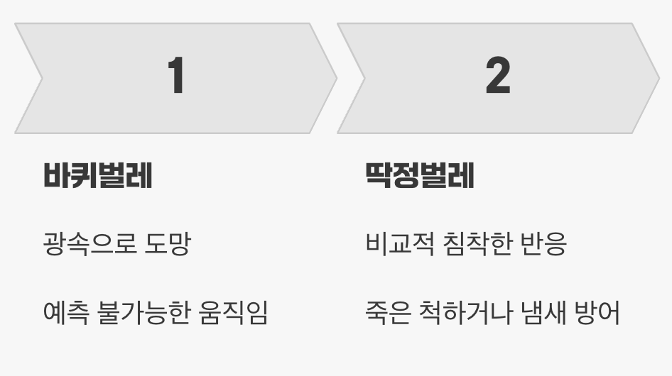 행동이 달라요, '속도'와 '반응'