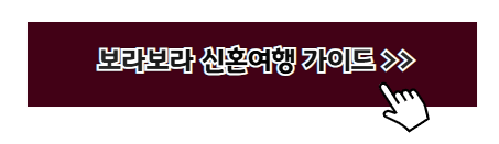 럭셔리 신혼여행