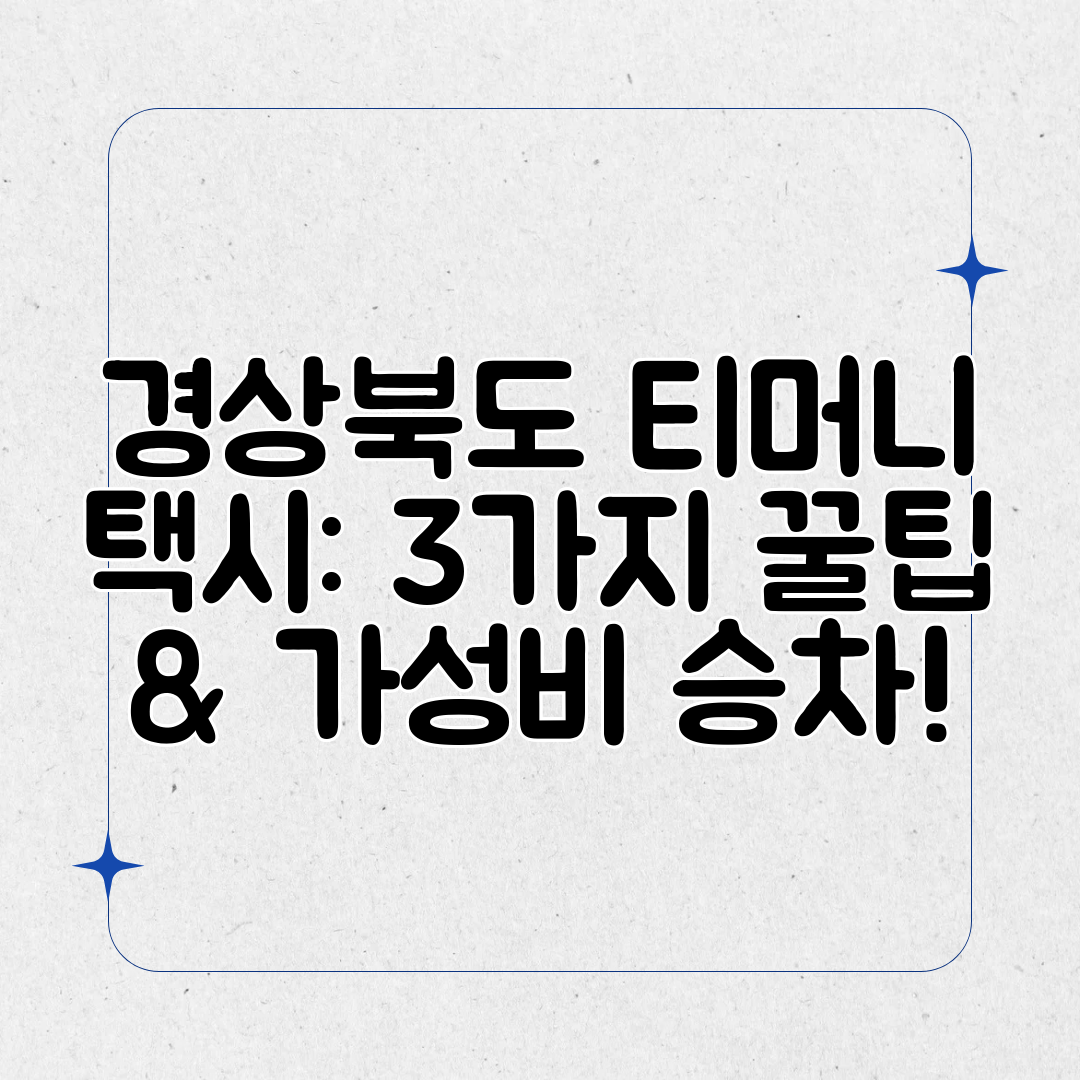 경상북도 티머니 택시 3가지 꿀팁 &amp; 가성비 승차!