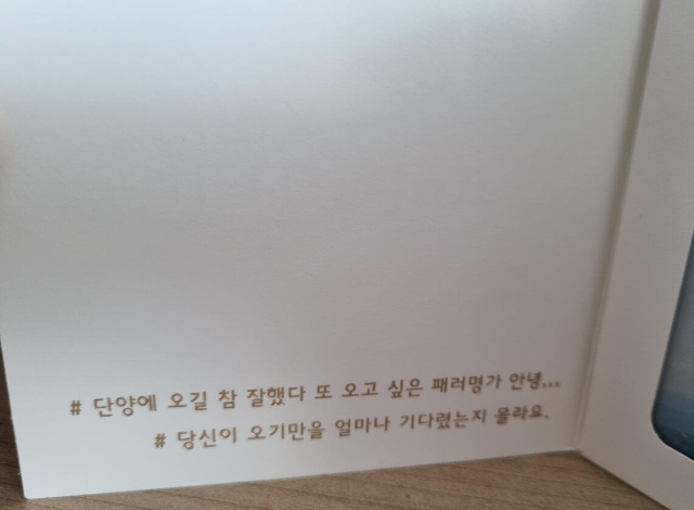 충북 단양 여행 단양 패러글라이딩