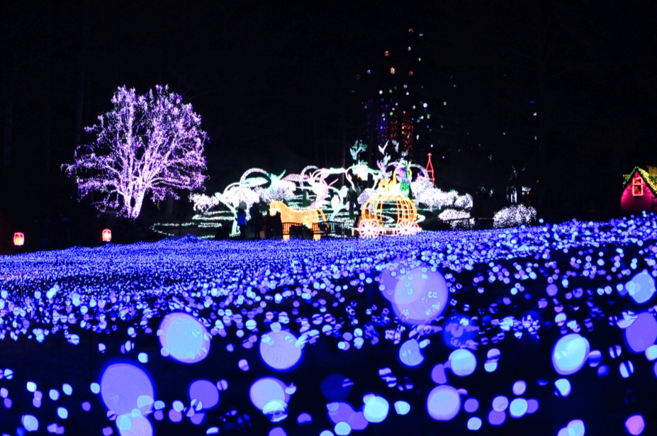 오색별빛정원전