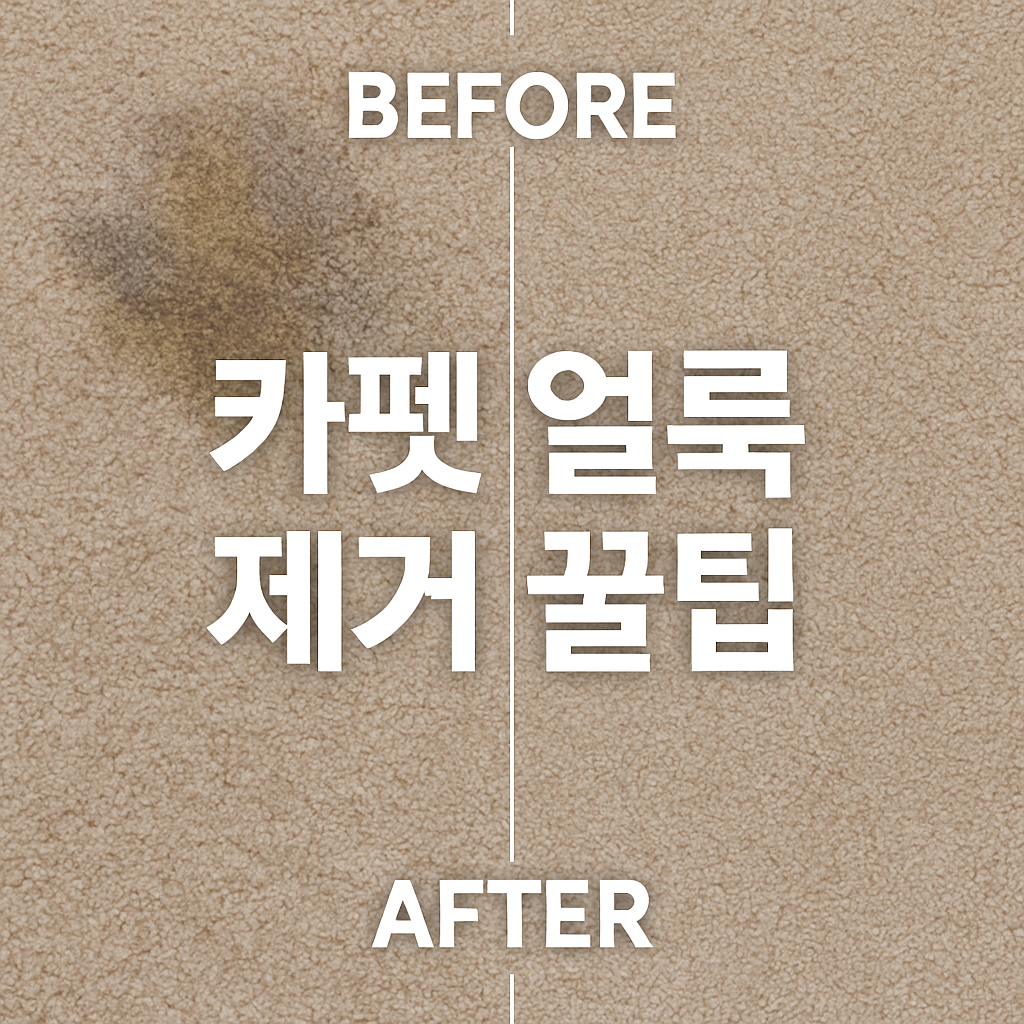 카펫 얼룩 완벽 제거법 🧽 집에서 쉽게 하는 꿀팁