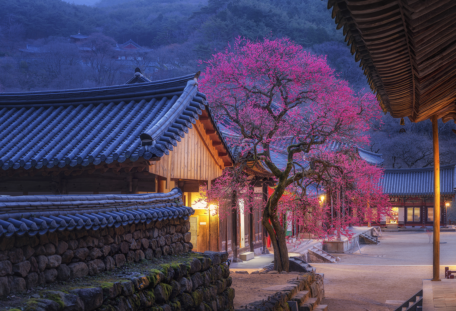 화엄사 사진