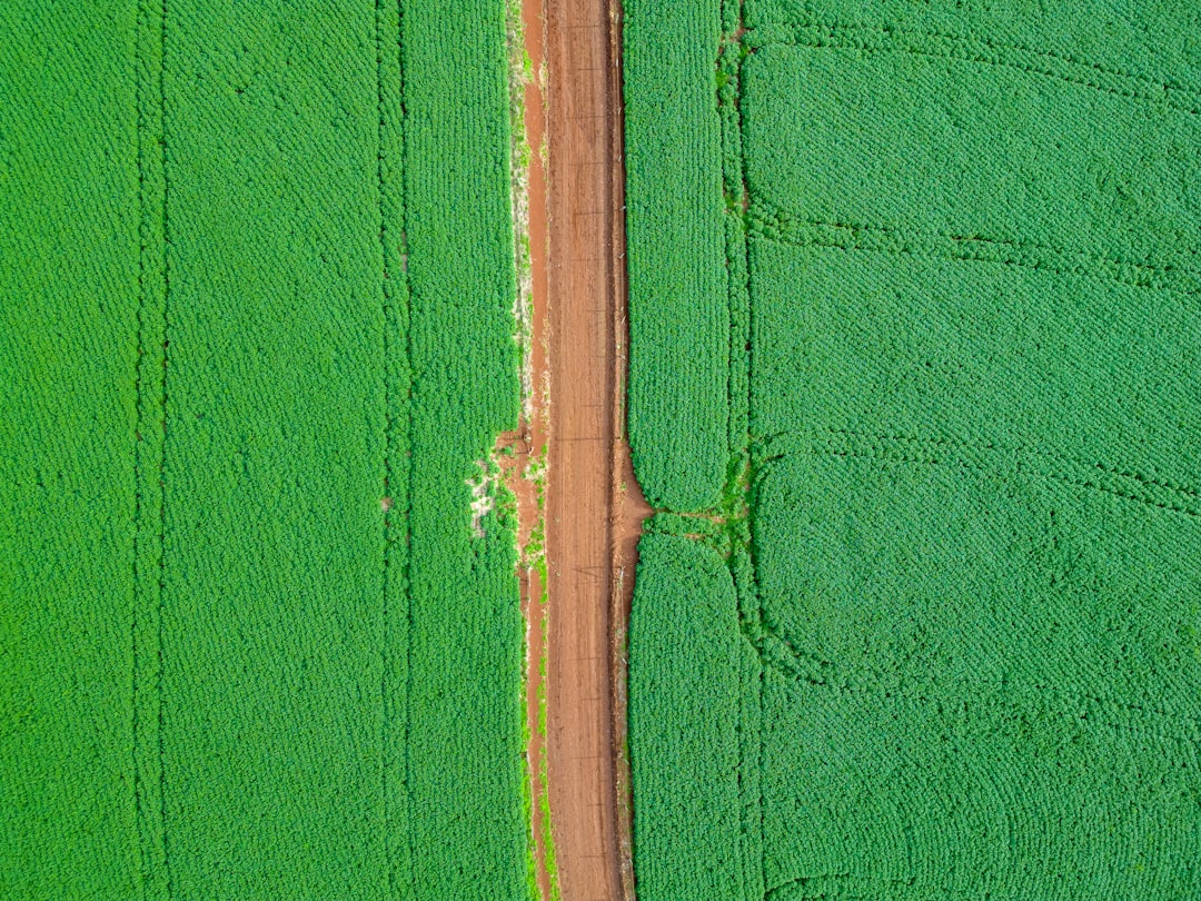 Land information