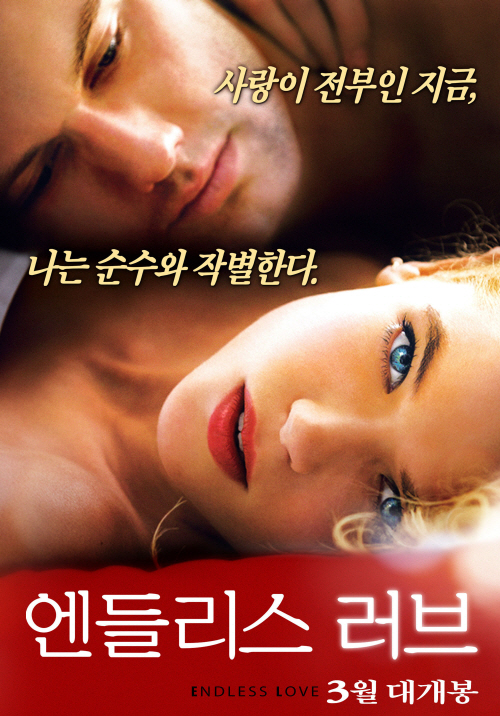 노트북 같은 영화 멜로/로맨스 영화 추천 - 엔들리스 러브