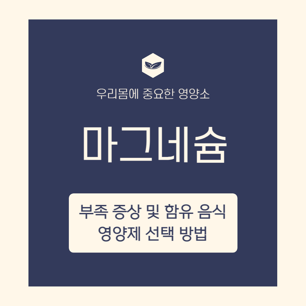 마그네슘의 역할&#44; 부족할 때 증상 및 함유 음식&#44; 영양제 선택 방법