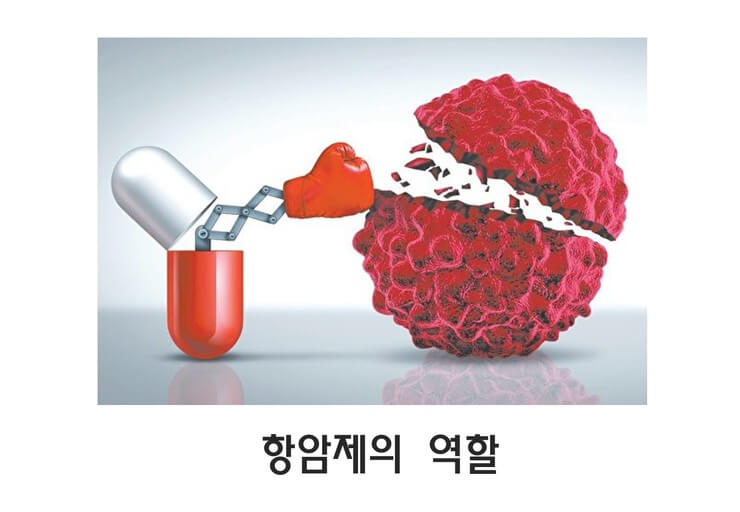 표적 항암제 역할