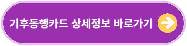 기후동행카드