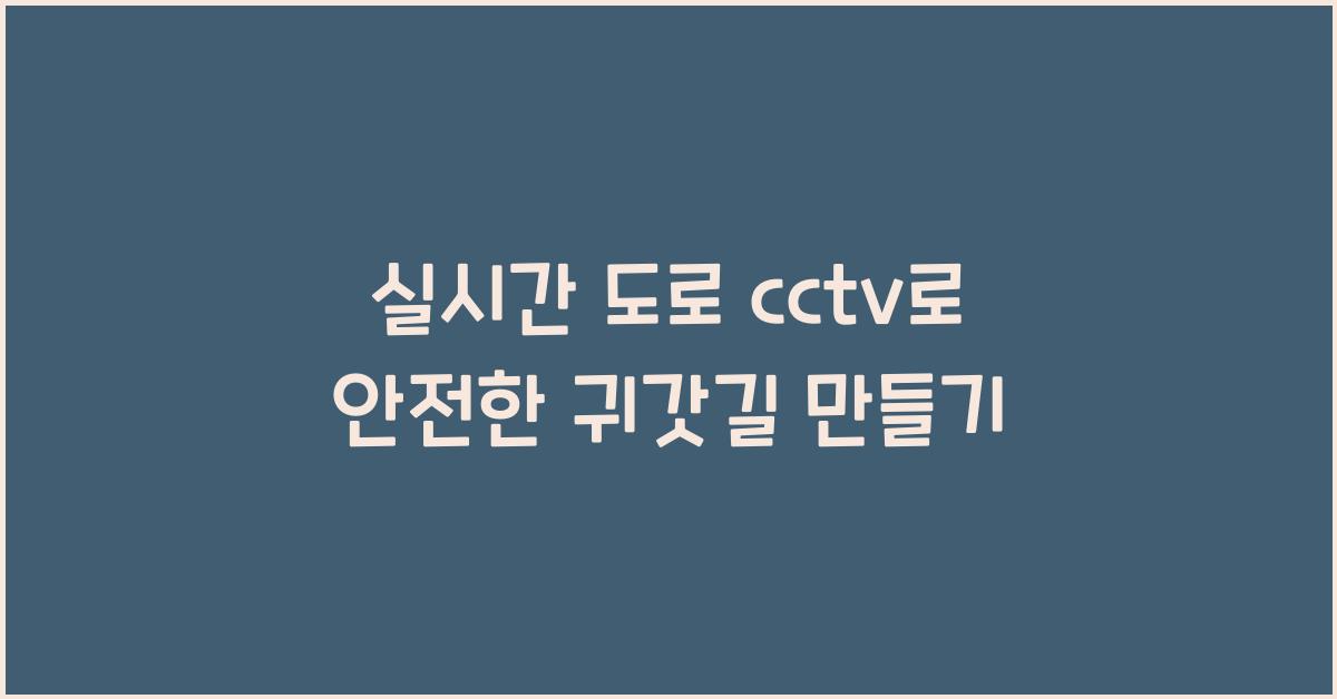 실시간 도로 cctv