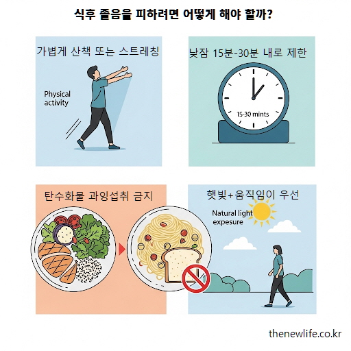 식후 졸음을 줄이기 위한 실천 방법 4가지: 가벼운 활동, 낮잠 시간 제한, 탄수화물 조절, 햇빛 노출과 움직임