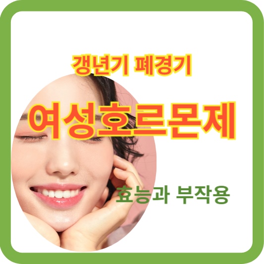 폐경기 여성호르몬제