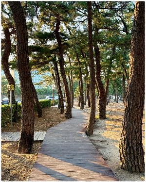 경포해변