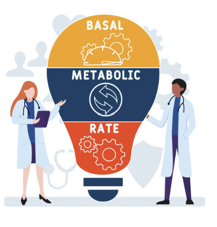 Myeloid-derived Suppressor Cell (MDSC) 대사체 분석