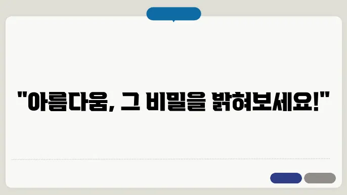 미학의 이해: 아름다움과 예술의 철학