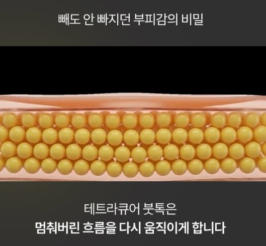 붓톡 브로멜라인 효능