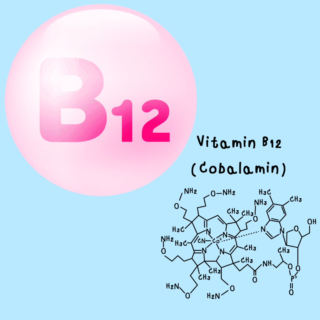 비타민 b12의 효능