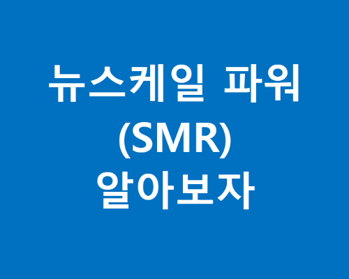 미국 주식 뉴스케일 파워(SMR) 주식 기업 분석