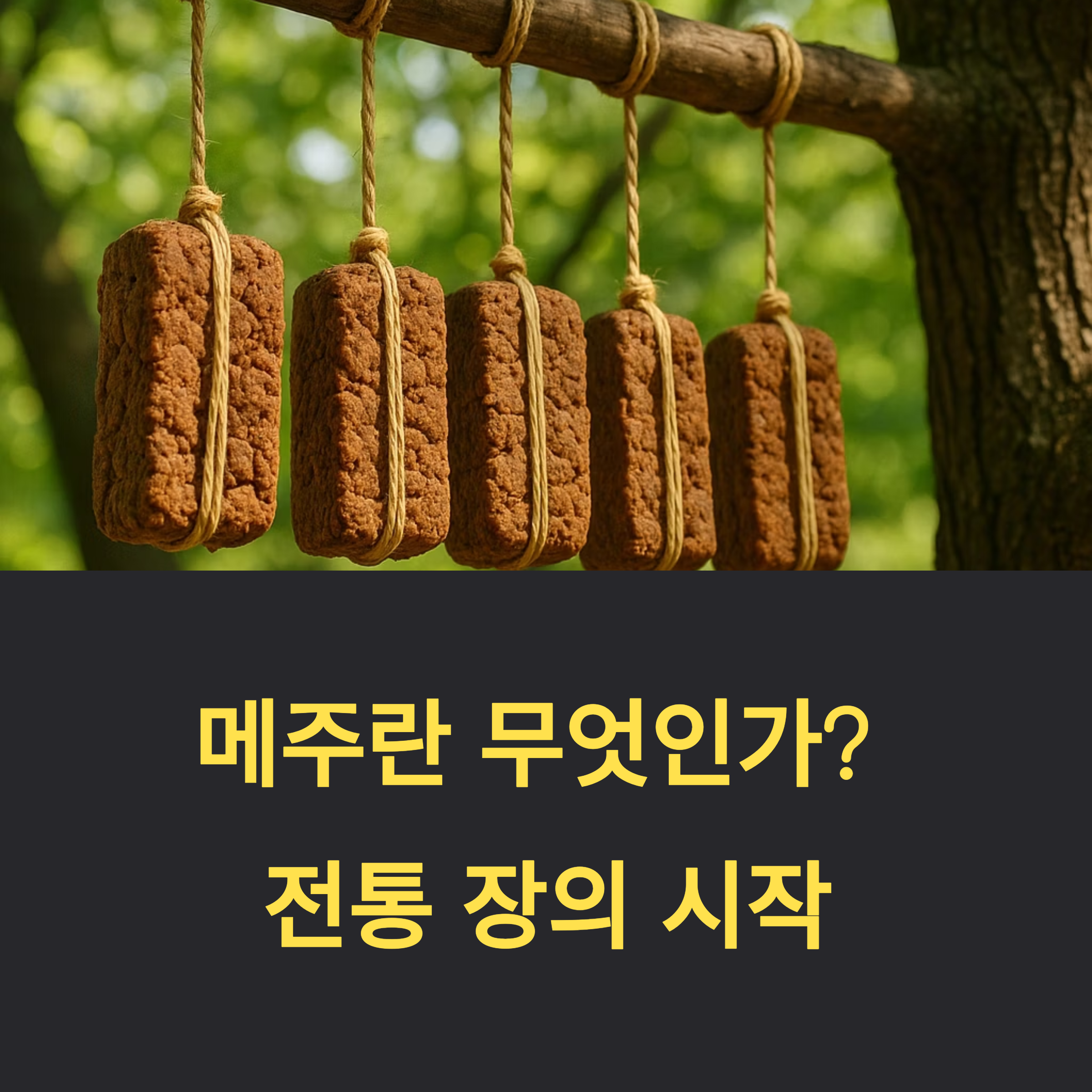 메주란 무엇인가? 전통 장의 시작