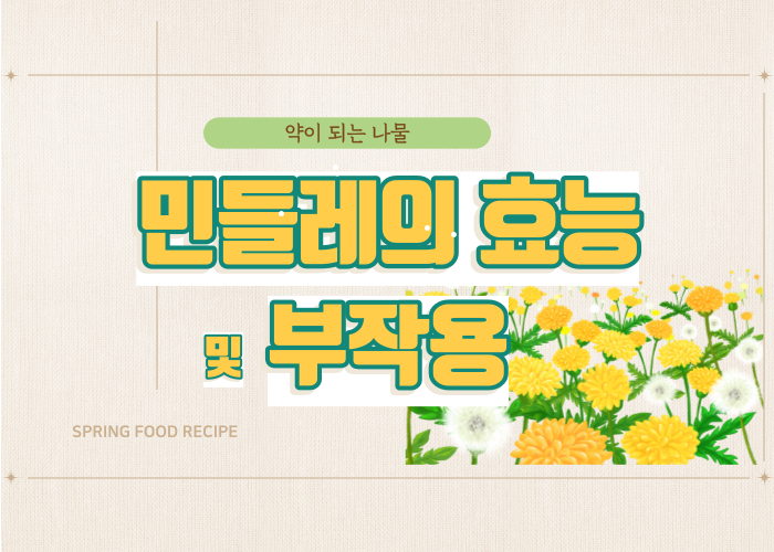 민들레의-효능과-부작용