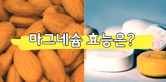 마그네슘 효능 및 부작용 알아보기(눈밑 덜덜 떨림, 찌릿 다리 쥐)