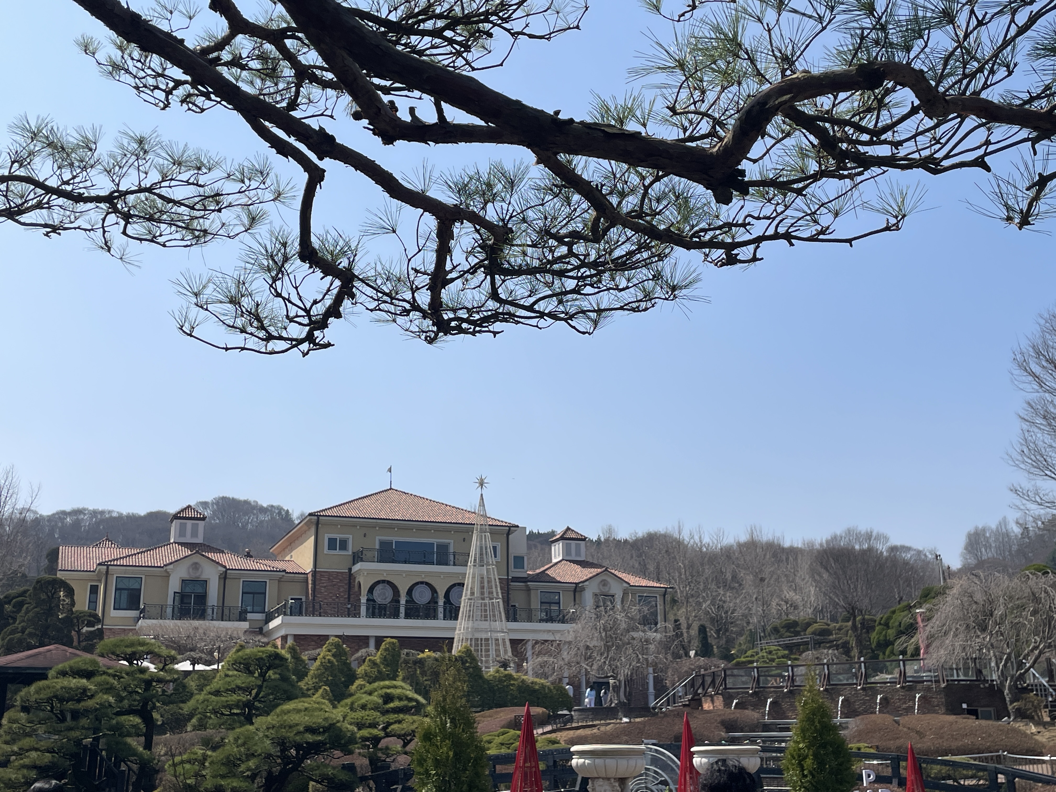 베어트리파크 공원 전경