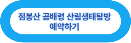 국내 겨울 여행지 추천 BEST