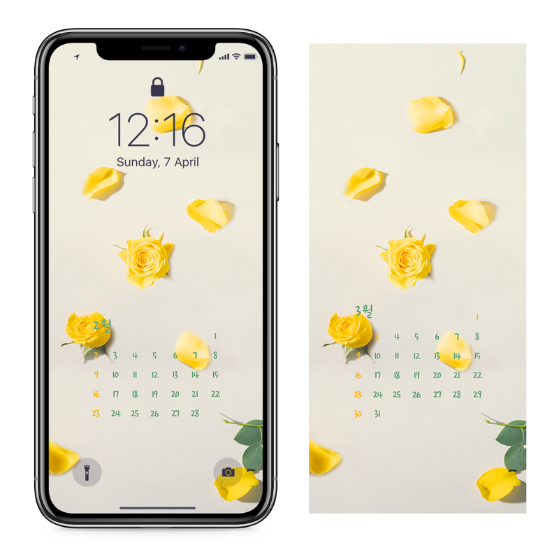 04 노란색 장미 AB - 2025년2월 아이폰달력배경화면