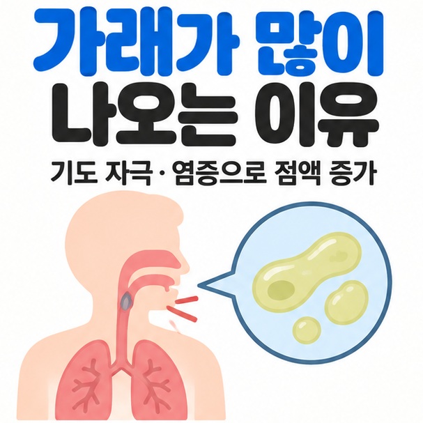 가래가 많이 나오는 이유를 기도와 점액 아이콘으로 설명한 카드뉴스