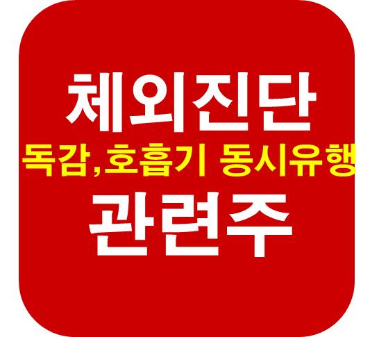 체외진단-관련주-독감