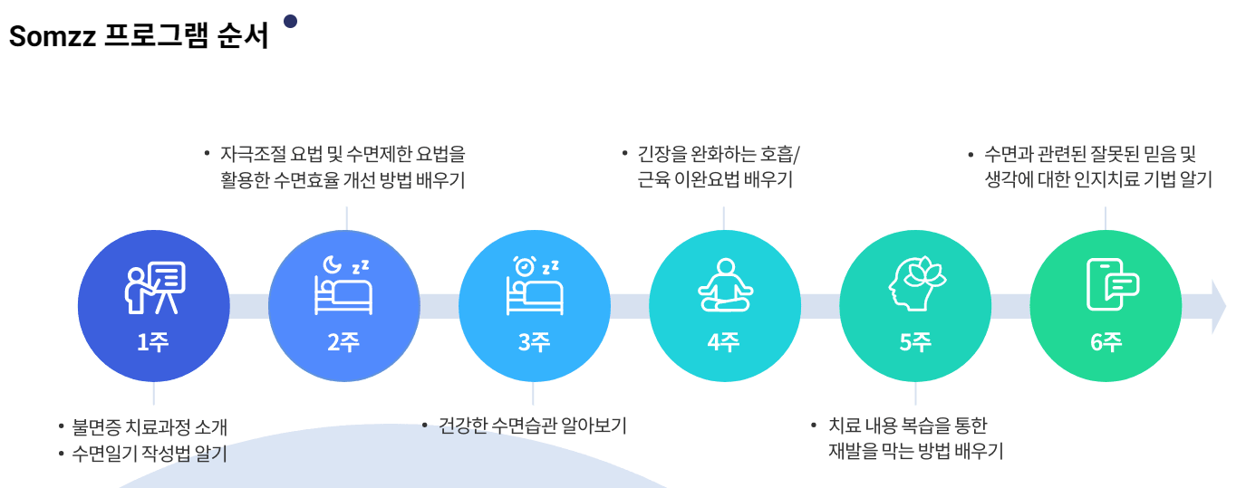 디지털불면증치료제_솜즈_만성불면증개선&middot;의료비감소효과