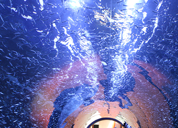 여수 가볼만한곳 베스트10