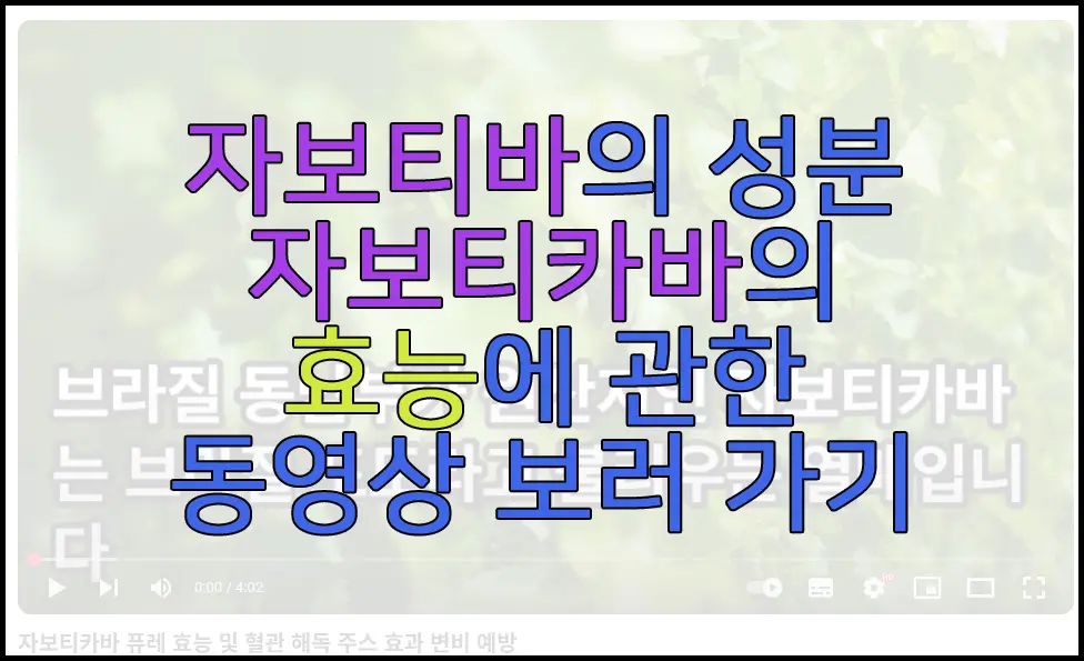자보티바의 성분인 자보티카바에 관한 동영상 보러 가기 링크 사진
