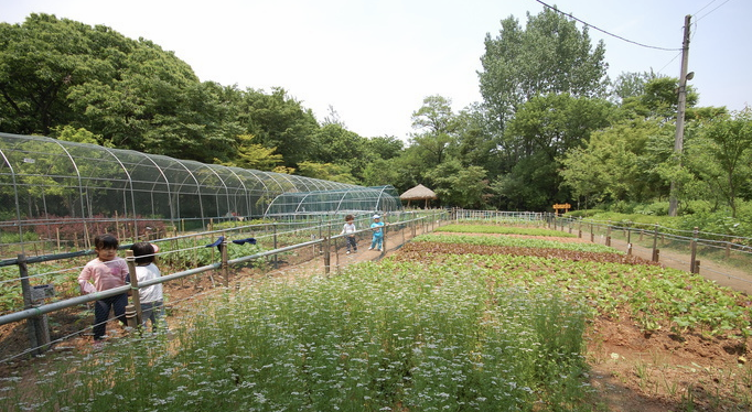 관악산공원 야외식물원 이미지