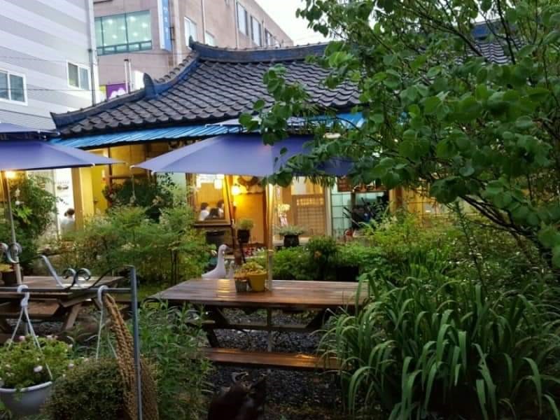 마당있는집