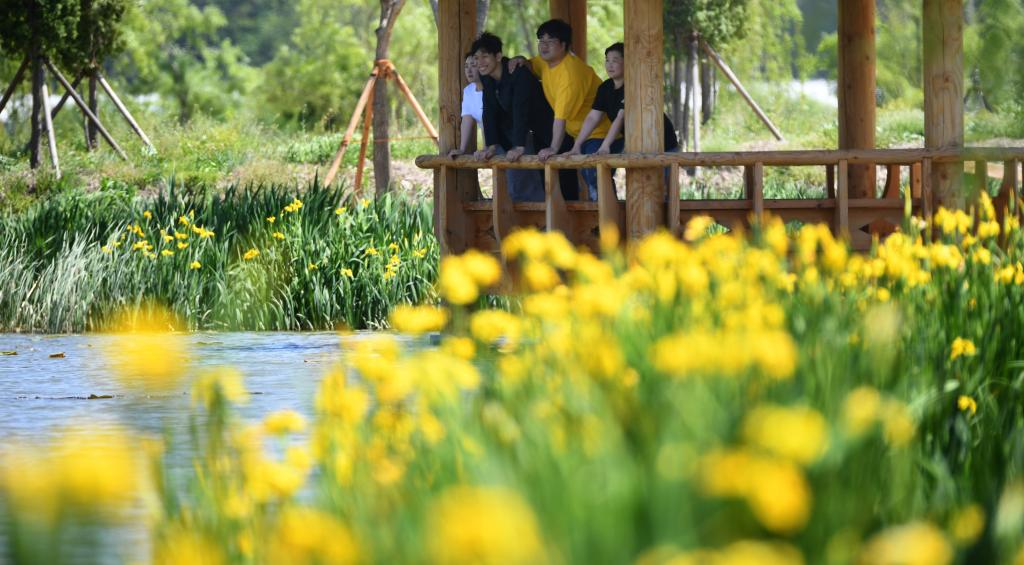 [5월 축제]창포원❘2025 거창에 온 봄 축제, 아리미아꽃축제,거창한 산양삼 축제